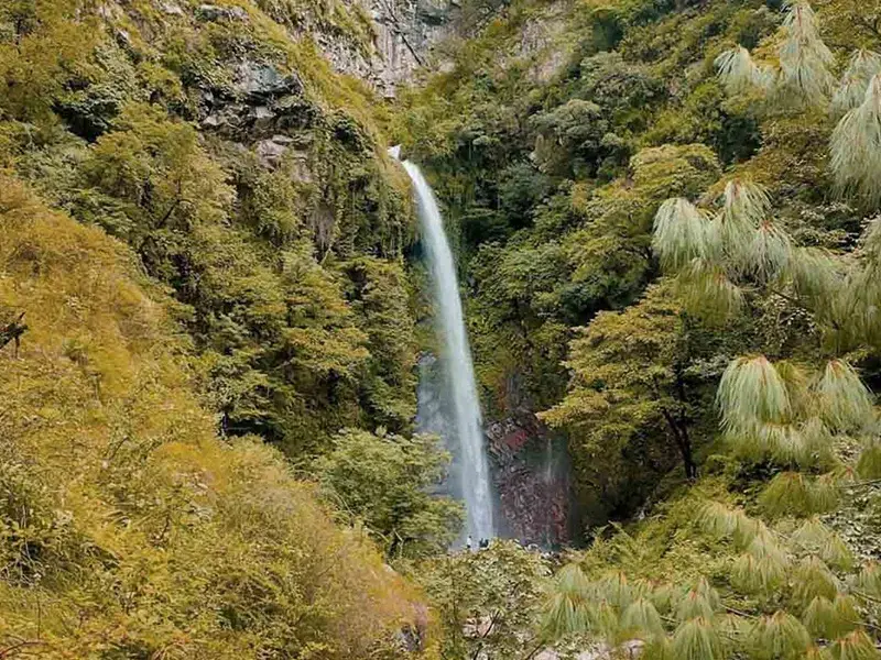 Tourists enjoying a natural shower under Chhoi Waterfall near Jibhi